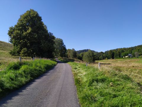 Foto 61